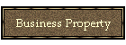 Business Property