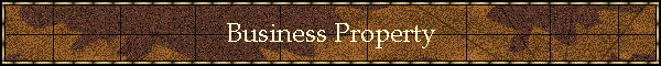Business Property